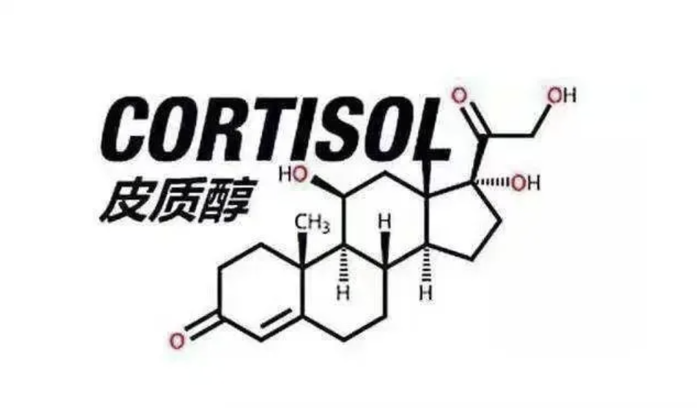 截屏2024-05-15 21.11.50.png okpay官网