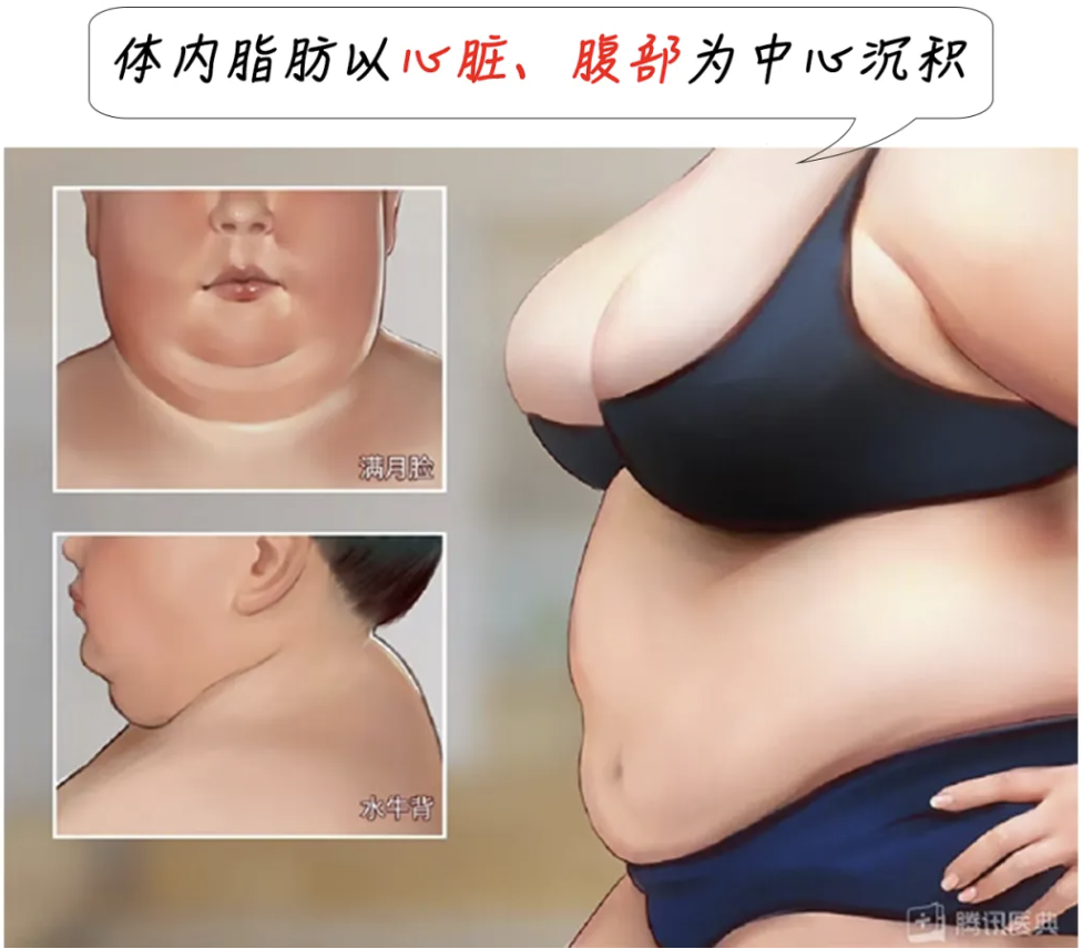 截屏2024-05-15 21.13.03.png okpay官网