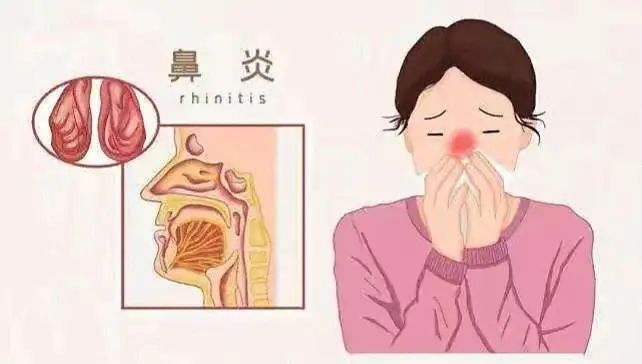 okpay官网