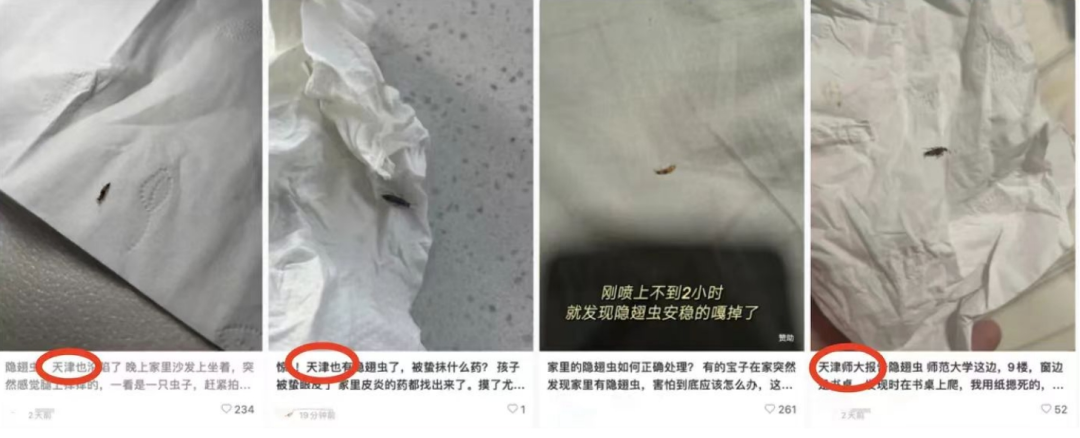 okpay官网