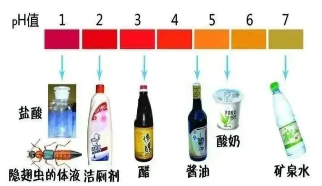okpay官网