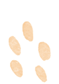 okpay官网