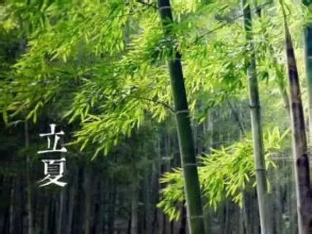 okpay官网