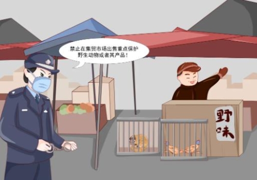 okpay官网