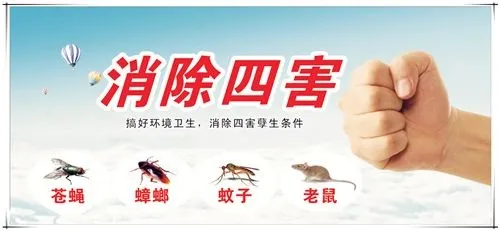 okpay官网