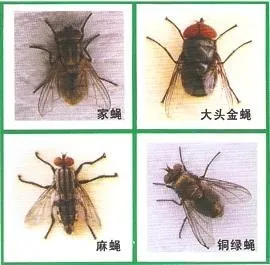 okpay官网