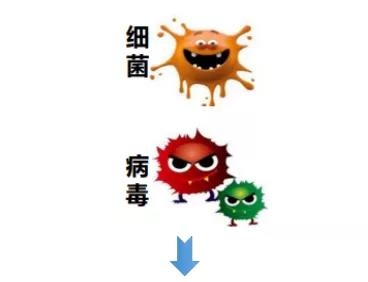 okpay官网