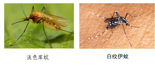 okpay官网