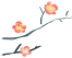 okpay官网